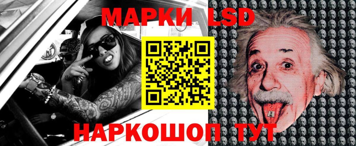 МЕФ Верхняя Пышма