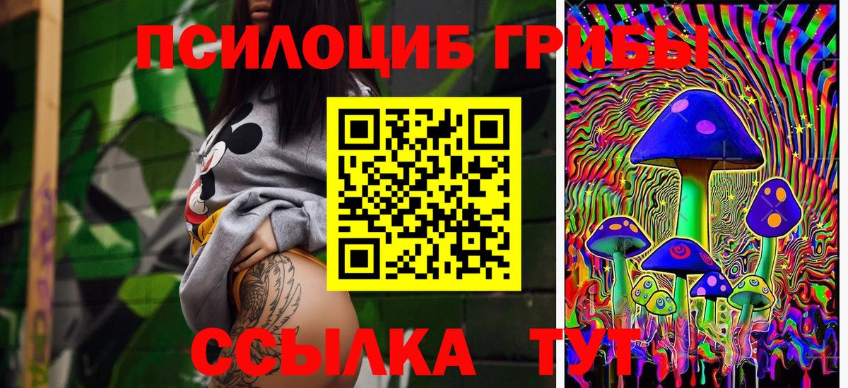 Псилоцибиновые грибы прущие грибы  Вход с VPN  Верхняя Пышма 