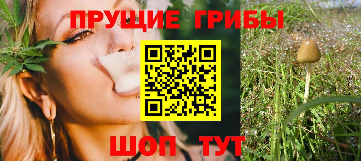 Галлюциногенные грибы ЛСД Верхняя Пышма
